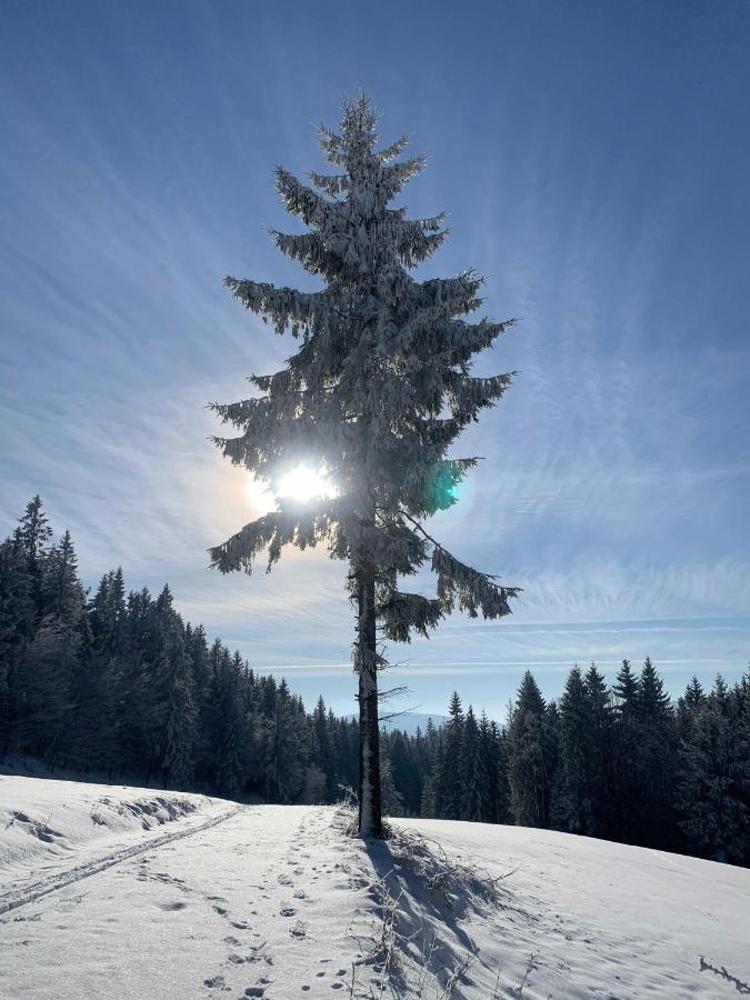 Apartmány Na Faře Bila  Esterno foto